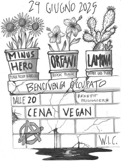 concerto punk rock