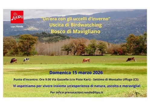 Uscita di birdwatching