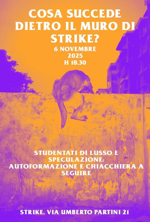 Cosa succede dietro il muro di Strike? -autoformazione-