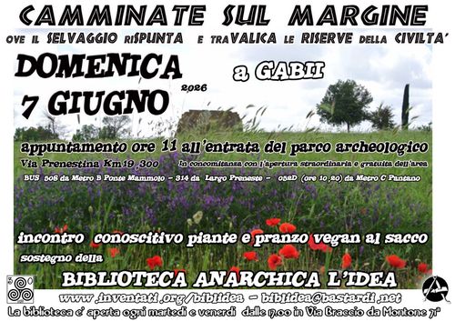 CAMMINATE sul MARGINE