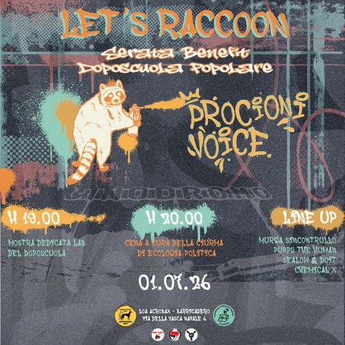 Let's raccoon