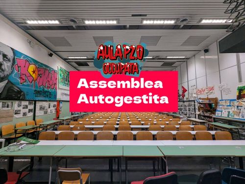 Assemblea Autogestita