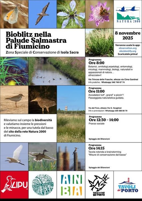 Bioblitz nella Palude Salmastra di Fiumicino - Zona Speciale di Conservazione di Isola Sacra