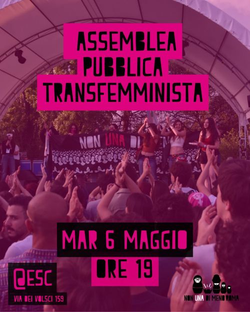 Assemblea Pubblica Transfemminista