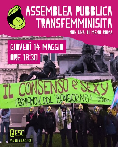 Assemblea Pubblica Transfemminista
