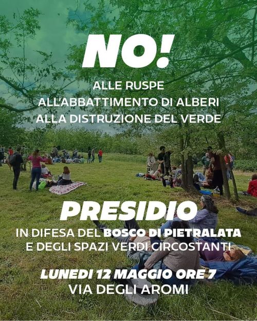 NO! Alle Ruspe, All'Abbattimento di Alberi, Alla Distruzione del Verde