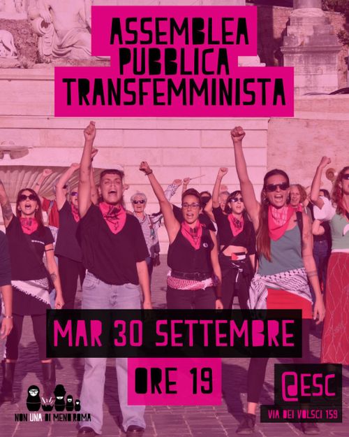 Assemblea Pubblica Transfemminista
