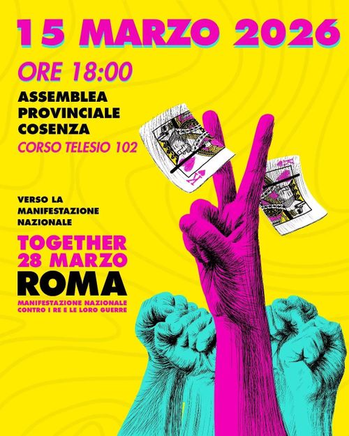 ASSEMBLEA PROVINCIALE - NO KINGS