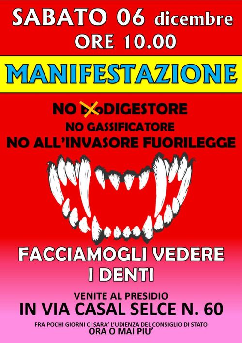 Manifestazione NO (bio)DIGESTORE NO GASSIFICATORE