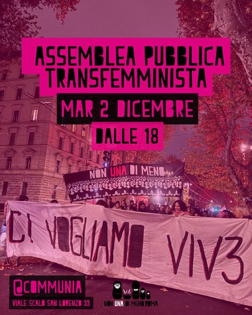 Assemblea Pubblica Transfemminista