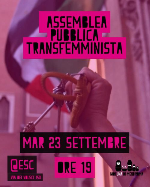 Assemblea Pubblica Transfemminista
