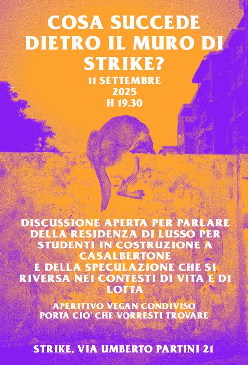 Cosa succede dietro al muro?