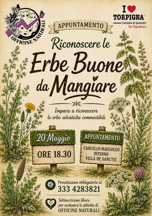 RICONOSCERE LE ERBE BUONE DA MANGIARE 