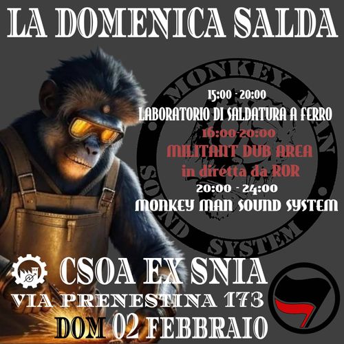 Monkey do Things: La Domenica Salda