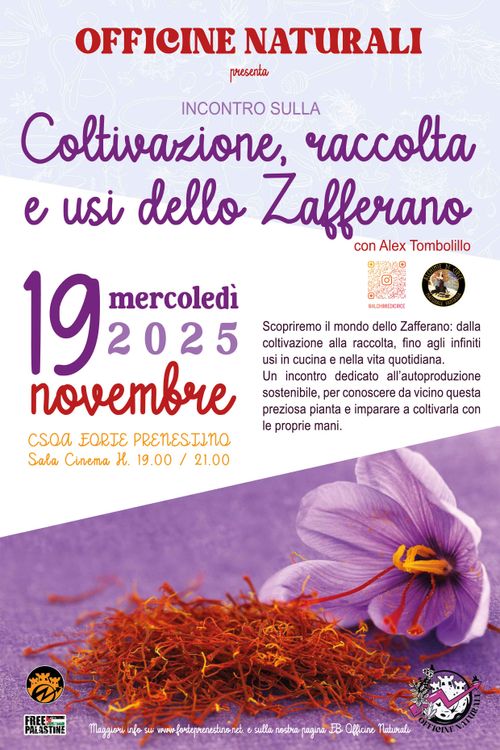 OFFICINE NATURALI PRESENTA: Coltivazioni ,Raccolta e usi dello zafferano