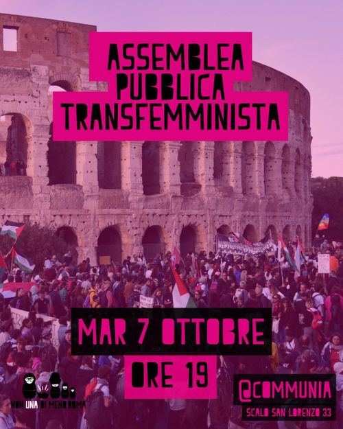 Assemblea Pubblica Transfemminista