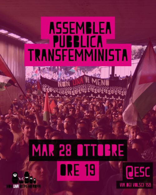 Assemblea Pubblica Transfemminista